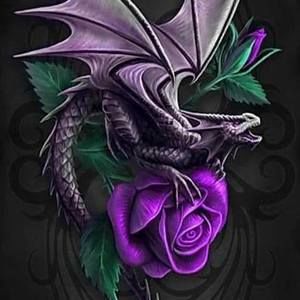 Meet your Posher, Lynne